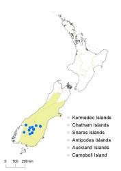 Cardamine reptans distribution map based on databased records at AK, CHR, OTA & WELT.
 Image: K.Boardman © Landcare Research 2018 CC BY 4.0